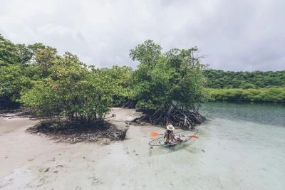 kayak