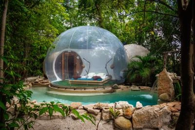domaine des bulles